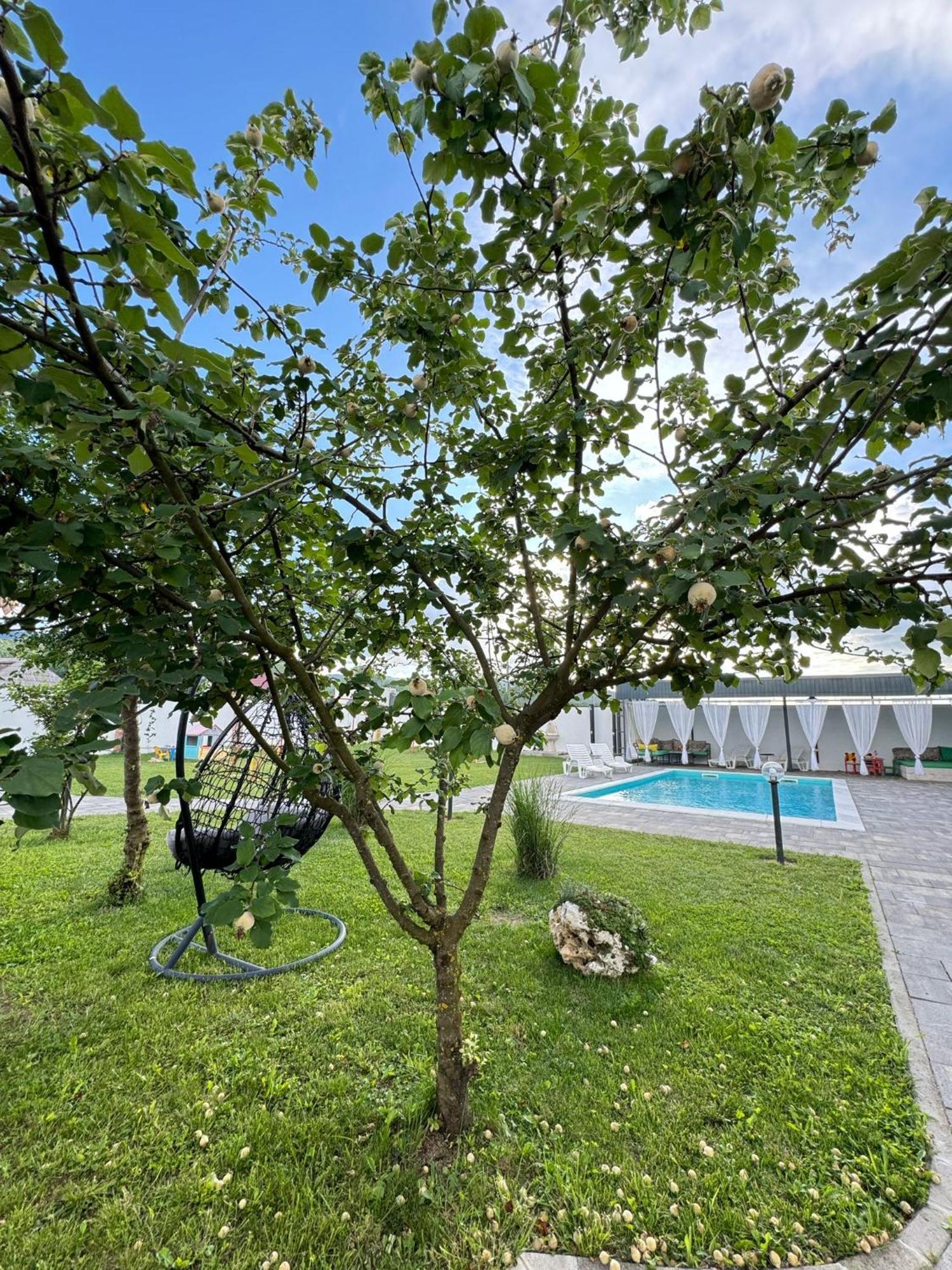 Family Estate Hadzalova Avlija Vila Bihać Exterior foto